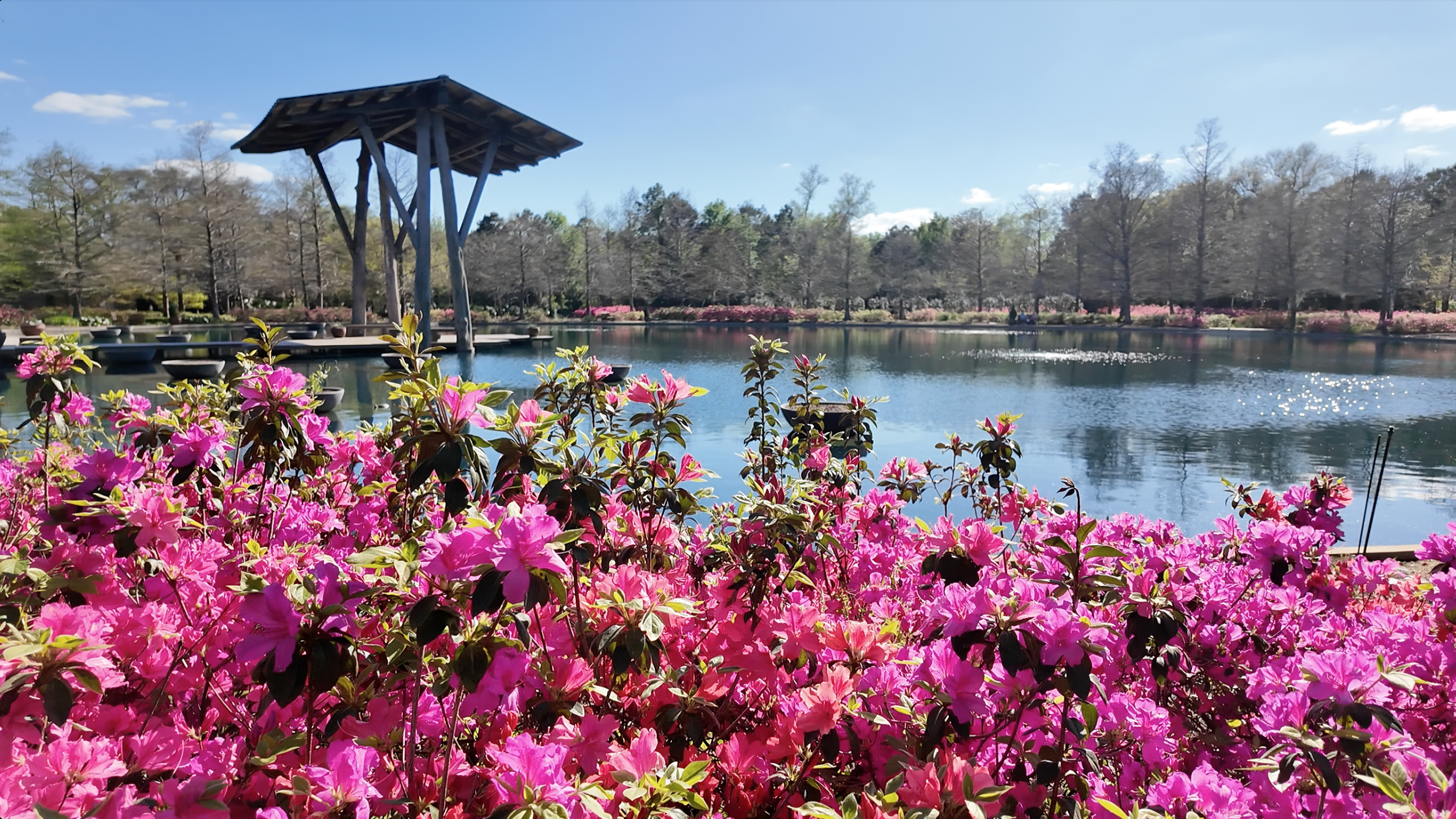 Screenshot Shangri La Gardens in Orange, TX
